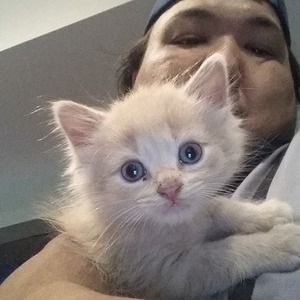 Meet your Posher, Scott